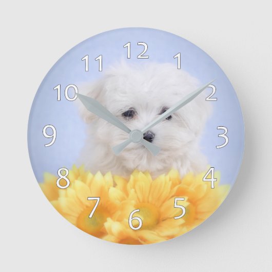 Maltese puppy ronde klok (Voorkant)