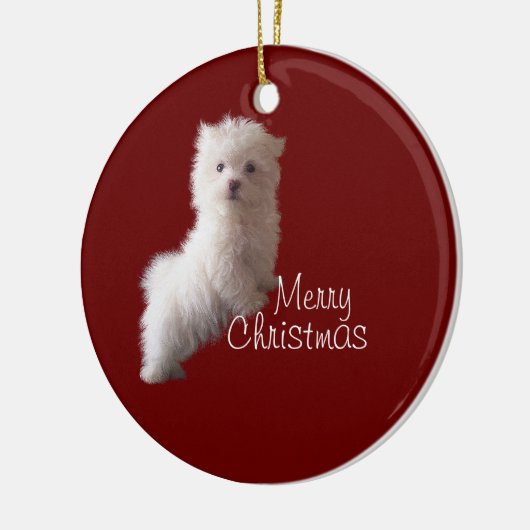 Maltese puppy rood Ornament (Links)
