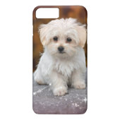Maltese puppy... Schattig Case-Mate iPhone Case (Achterkant)