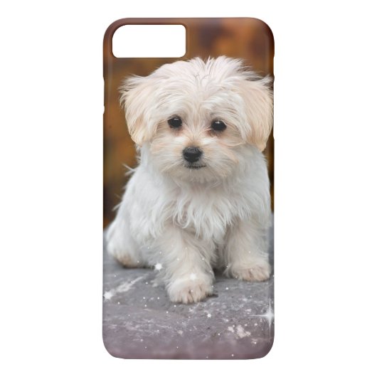 Maltese puppy... Schattig Case-Mate iPhone Case (Achterkant)