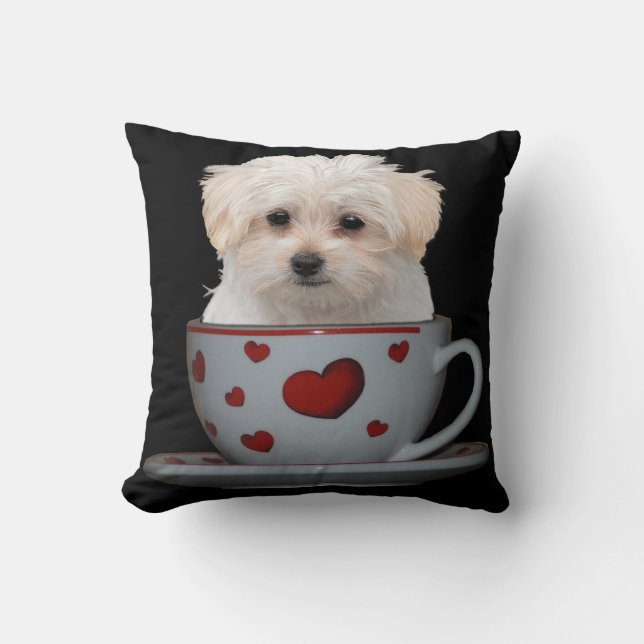 Maltese puppy Sitting in een Cup en Saucer Kussen (Voorkant)