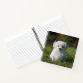Maltese puppy Spiral notebook Notitieboek (Binnen)