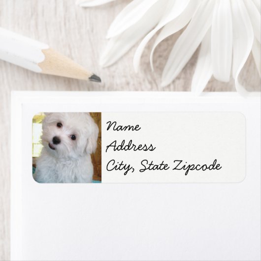 maltese puppy sticker labels (Insitu)