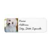 maltese puppy sticker labels (Voorkant)