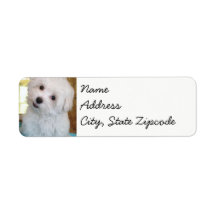 maltese puppy sticker labels