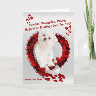 Maltese puppy - Super Cute dat je post hebt! Feestdagen Kaart