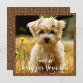 Maltese Puppy Sympathy Card Bedankkaart (Voorkant / Achterkant)