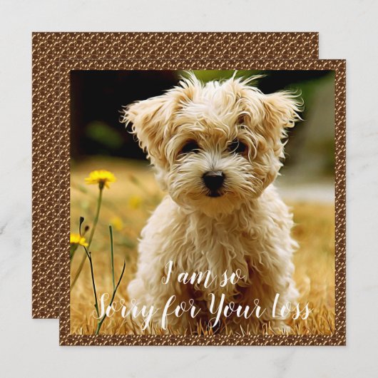 Maltese Puppy Sympathy Card Bedankkaart (Voorkant / Achterkant)