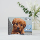 Maltese puppy We hebben een nieuw adres Briefkaart (Staand voorkant)