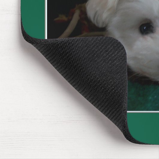 Maltese puppyogen Muismat (Hoek)