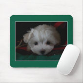 Maltese puppyogen Muismat (Met muis)