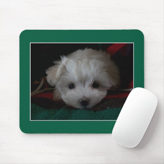 Maltese puppyogen Muismat (Met muis)