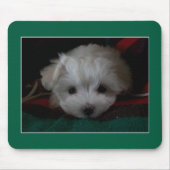 Maltese puppyogen Muismat (Voorkant)
