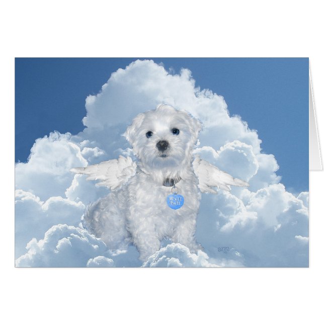 Maltese reddingsengel (Voorkant Horizontaal)