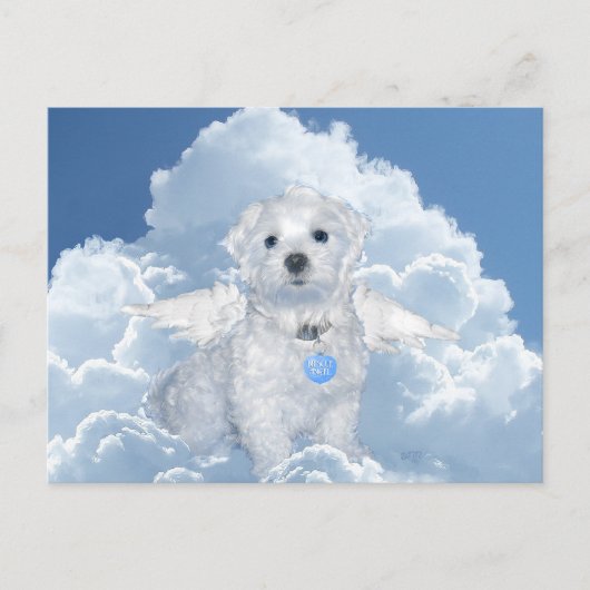 Maltese reddingsengel briefkaart (Voorkant)