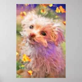 Maltese reddingspuppy 2 DIE DOOR TEARS KIJKT Poster