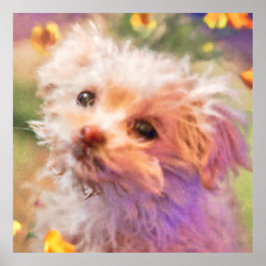 Maltese reddingspuppy 2 DIE DOOR TEARS KIJKT Poster