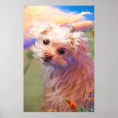 Maltese reddingspuppy dag 1 "DE WEE ÉÉN" Poster (Voorkant)