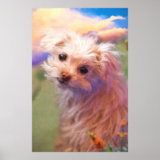 Maltese reddingspuppy dag 1 "DE WEE ÉÉN" Poster (Voorkant)