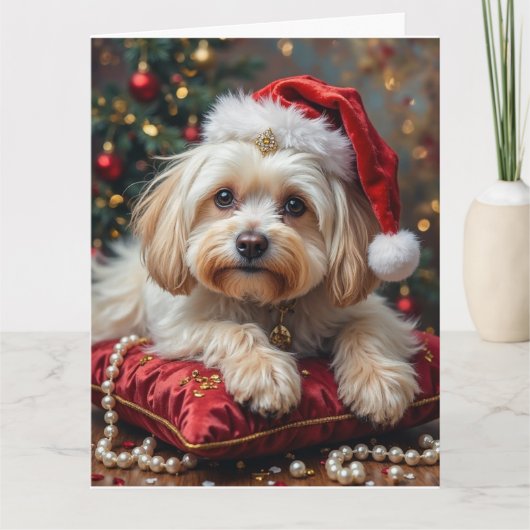Maltese Royal Christmas Crimson Hat Kaart (Voorkant)
