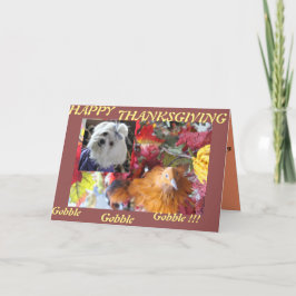 Maltese Seizoenen leren design Feestdagen Kaart