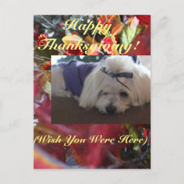 Maltese Seizoenen leren design Feestdagenkaart