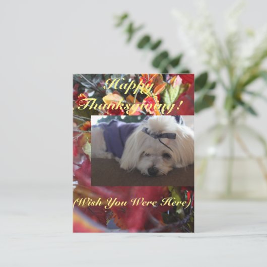 Maltese Seizoenen leren design Feestdagenkaart (Staand voorkant)