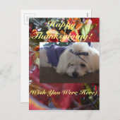 Maltese Seizoenen leren design Feestdagenkaart (Voorkant / Achterkant)