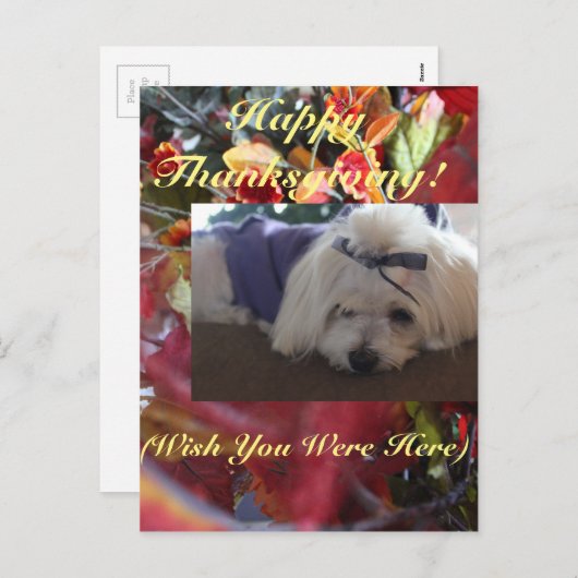 Maltese Seizoenen leren design Feestdagenkaart (Voorkant / Achterkant)