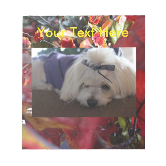 Maltese Seizoenen leren design Notitieblok (Voorkant)