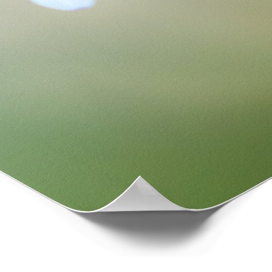 🌼 Maltese Serenity Poster (Hoek)