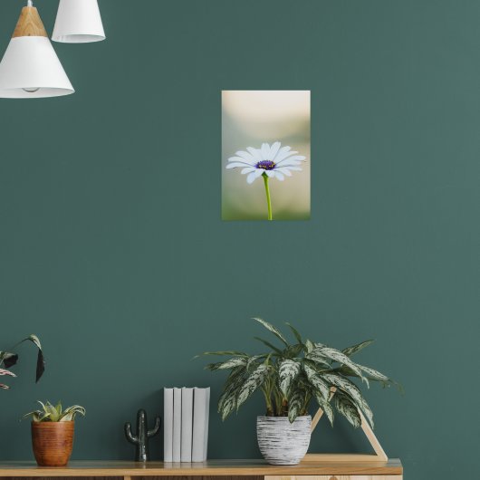 🌼 Maltese Serenity Poster (Woonkamer 1)