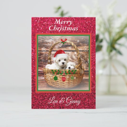 Maltese Sjabloon voor kerstPuppies (Staand voorkant)