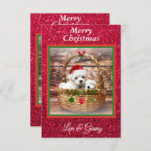 Maltese Sjabloon voor kerstPuppies (Voorkant / Achterkant)