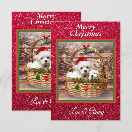 Maltese Sjabloon voor kerstPuppies (Voorkant / Achterkant)