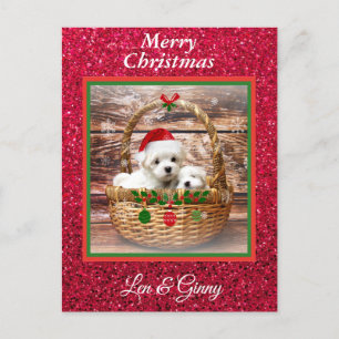 Maltese Sjabloon voor kerstPuppies Briefkaart