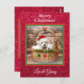 Maltese Sjabloon voor kerstPuppies Briefkaart (Voorkant / Achterkant)