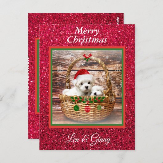 Maltese Sjabloon voor kerstPuppies Briefkaart (Voorkant / Achterkant)