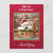 Maltese Sjabloon voor kerstPuppies Briefkaart (Voorkant)