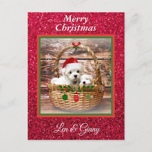 Maltese Sjabloon voor kerstPuppies Briefkaart (Voorkant)