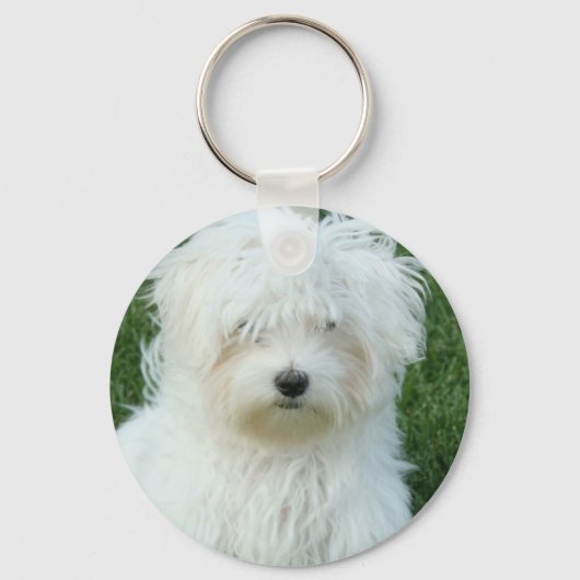 Maltese Sleutelhanger Puppies (Voorkant)
