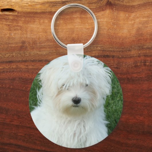 Maltese Sleutelhanger Puppies (Voorkant)