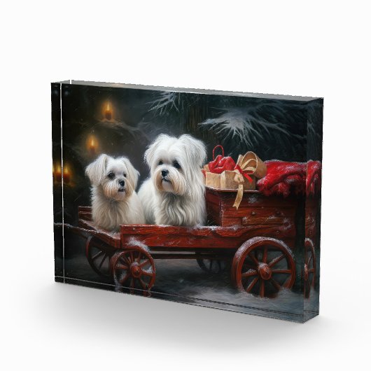 Maltese Sneeuwslee Kerst Decor Fotoblokken (Rechts)