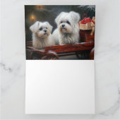 Maltese Sneeuwslee Kerst Decor Kaart (Binnen)