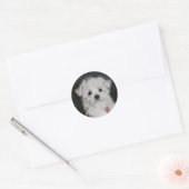 Maltese sticker (Envelop)