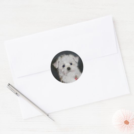 Maltese sticker (Envelop)