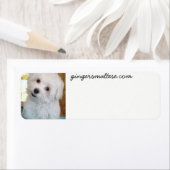 Maltese sticker labels (Insitu)