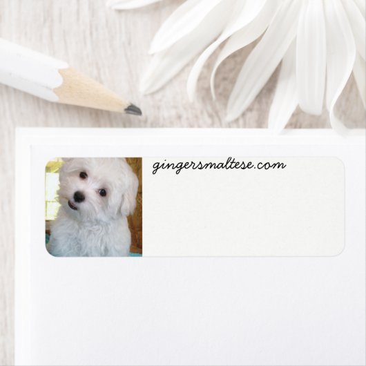 Maltese sticker labels (Insitu)