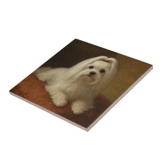 Maltese Tegeltje (Zijkant)