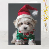 Maltese Terrier Elf Puppy Christmas Kaart (Gele Bloem)